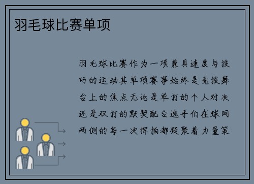 羽毛球比赛单项