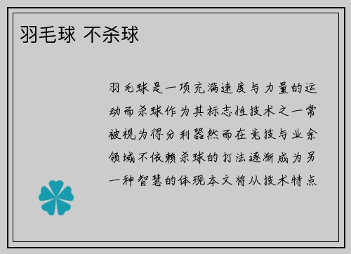 羽毛球 不杀球