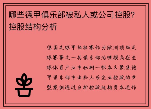 哪些德甲俱乐部被私人或公司控股？控股结构分析